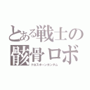 とある戦士の骸骨ロボ（クロスボーンガンダム）