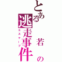 とある　　若　の逃走事件（エスケープ）