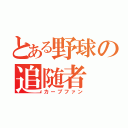 とある野球の追随者（カープファン）