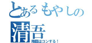 とあるもやしの清吾（降臨はコンする！）