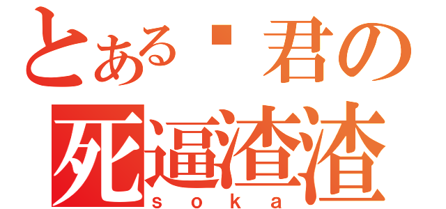 とある凯君の死逼渣渣（ｓｏｋａ）