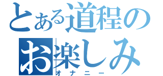 とある道程のお楽しみ（オナニー）