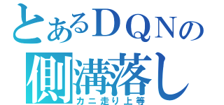 とあるＤＱＮの側溝落し（カニ走り上等）