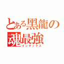 とある黑龍の魂最強（インデックス）