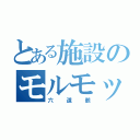 とある施設のモルモット（六道骸）