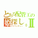 とある配管工の姫探し。Ⅱ（アドベンチャー）