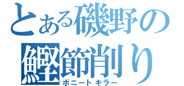 とある磯野の鰹節削り（ボニートキラー）