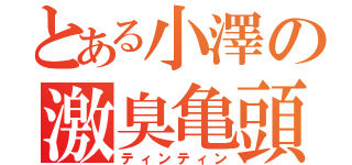 とある小澤の激臭亀頭（ティンティン）