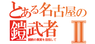 とある名古屋の鎧武者Ⅱ（禁断の果実を目指して）