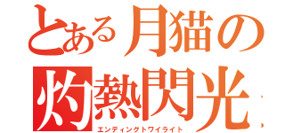 とある月猫の灼熱閃光（エンディングトワイライト）