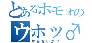 とあるホモォのウホッ♂（やらないか？）