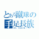 とある蹴球の手足長族（カス、うるさい奴）