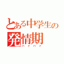 とある中学生の発情期（ハァハァ）