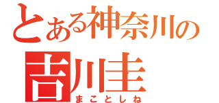 とある神奈川の吉川圭（まことしね）