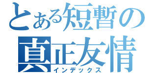 とある短暫の真正友情〃（インデックス）