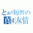 とある短暫の真正友情〃（インデックス）