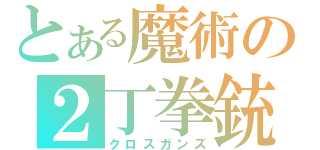 とある魔術の２丁拳銃（クロスガンズ）