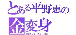 とある平野恵の金変身（仮面ライダースターダスト）