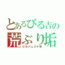 とあるびる吉の荒ぶり垢（びるけんガチ勢）