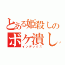 とある姫殺しのボケ潰し（インデックス）