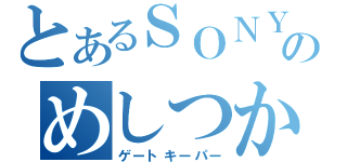 とあるＳＯＮＹのめしつかい（ゲートキーパー）