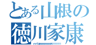 とある山根の徳川家康（イ…イ…イ”エヤアアアアアアアアアアアアアス！！！！！！！！！！！）