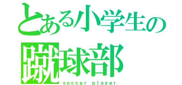 とある小学生の蹴球部（ｓｏｃｃｅｒ ｐｌａｙｅｒ）