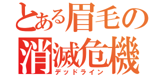 とある眉毛の消滅危機（デッドライン）