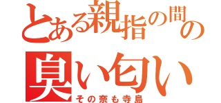 とある親指の間の臭い匂い（その奈も寺島）