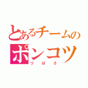 とあるチームのポンコツエース（つばさ）