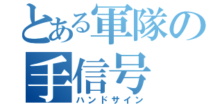 とある軍隊の手信号（ハンドサイン）