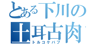 とある下川の土耳古肉（トルコケバブ）