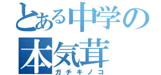 とある中学の本気茸（ガチキノコ）