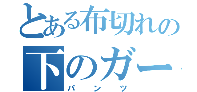 とある布切れの下のガード（パンツ）