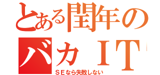 とある閏年のバカＩＴ（ＳＥなら失敗しない）