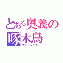 とある奥義の啄木鳥（ウッドペッカー）