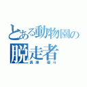 とある動物園の脱走者（長瀬 優斗）