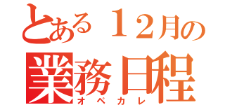 とある１２月の業務日程（オペカレ）