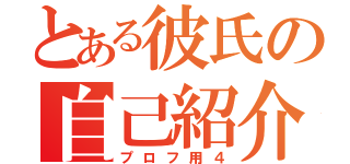 とある彼氏の自己紹介（プロフ用４）