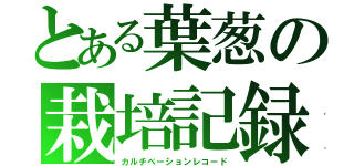 とある葉葱の栽培記録（カルチベーションレコード）