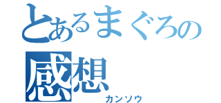 とあるまぐろの感想（　　　カンソウ）