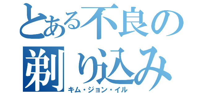 とある不良の剃り込み野郎（キム・ジョン・イル）