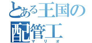 とある王国の配管工（マリオ）