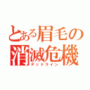 とある眉毛の消滅危機（デッドライン）