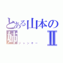 とある山本の姉Ⅱ（ジャンキー）