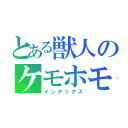 とある獣人のケモホモ（インデックス）