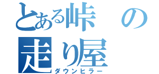 とある峠の走り屋（ダウンヒラー）