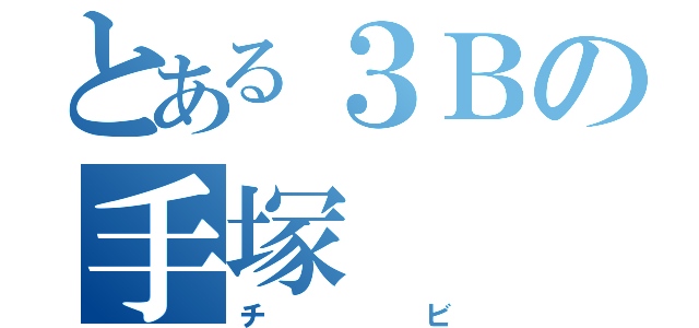 とある３Ｂの手塚（チビ）