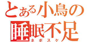 とある小鳥の睡眠不足（ネボスケ）