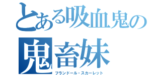 とある吸血鬼の鬼畜妹（フランドール・スカーレット）